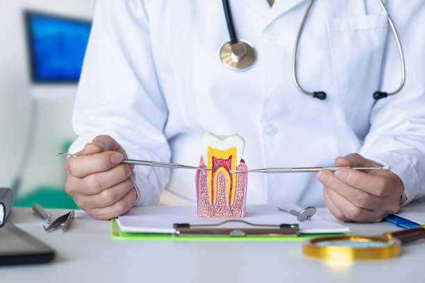 Best Walk-In Emergency Dental Services in Adrian, MI